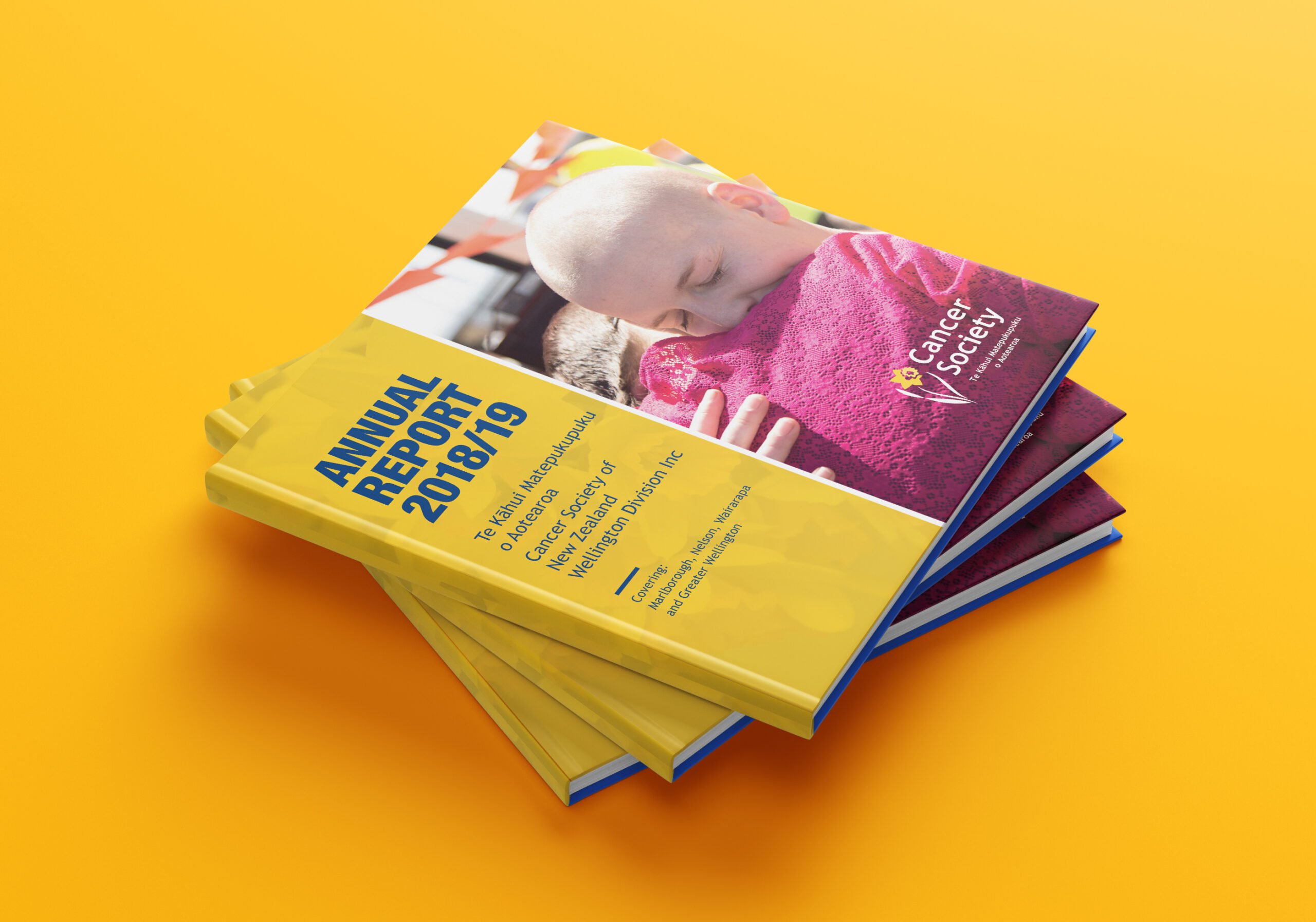 front-cover of Cancer Society Annual Report front-cover of Cancer Society Annual Report